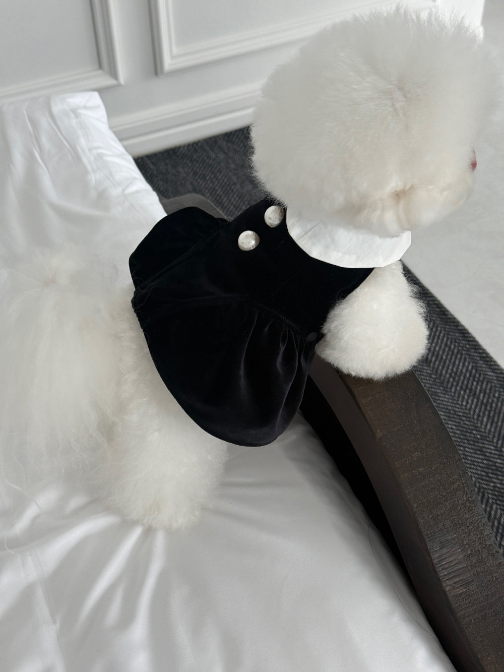 【PRE-ORDER】Black Velvet Dress