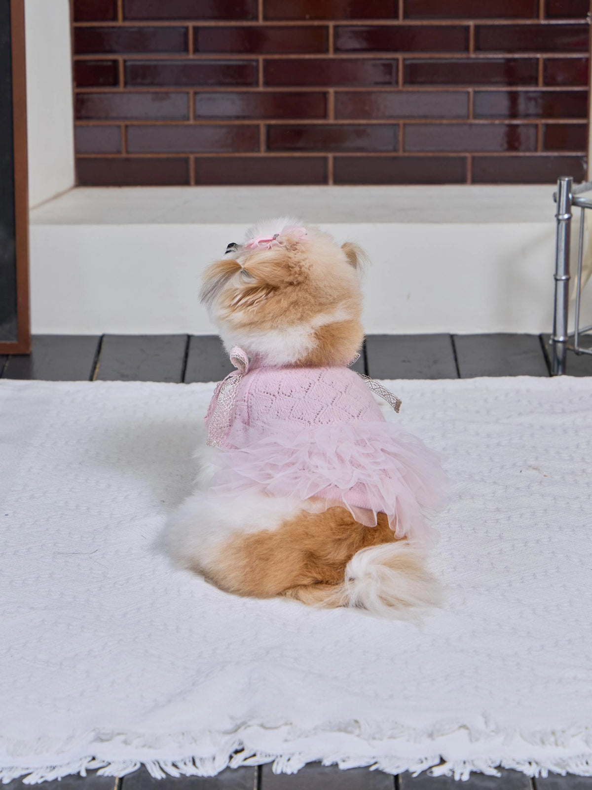 Patissier Tutu Dress 全3色