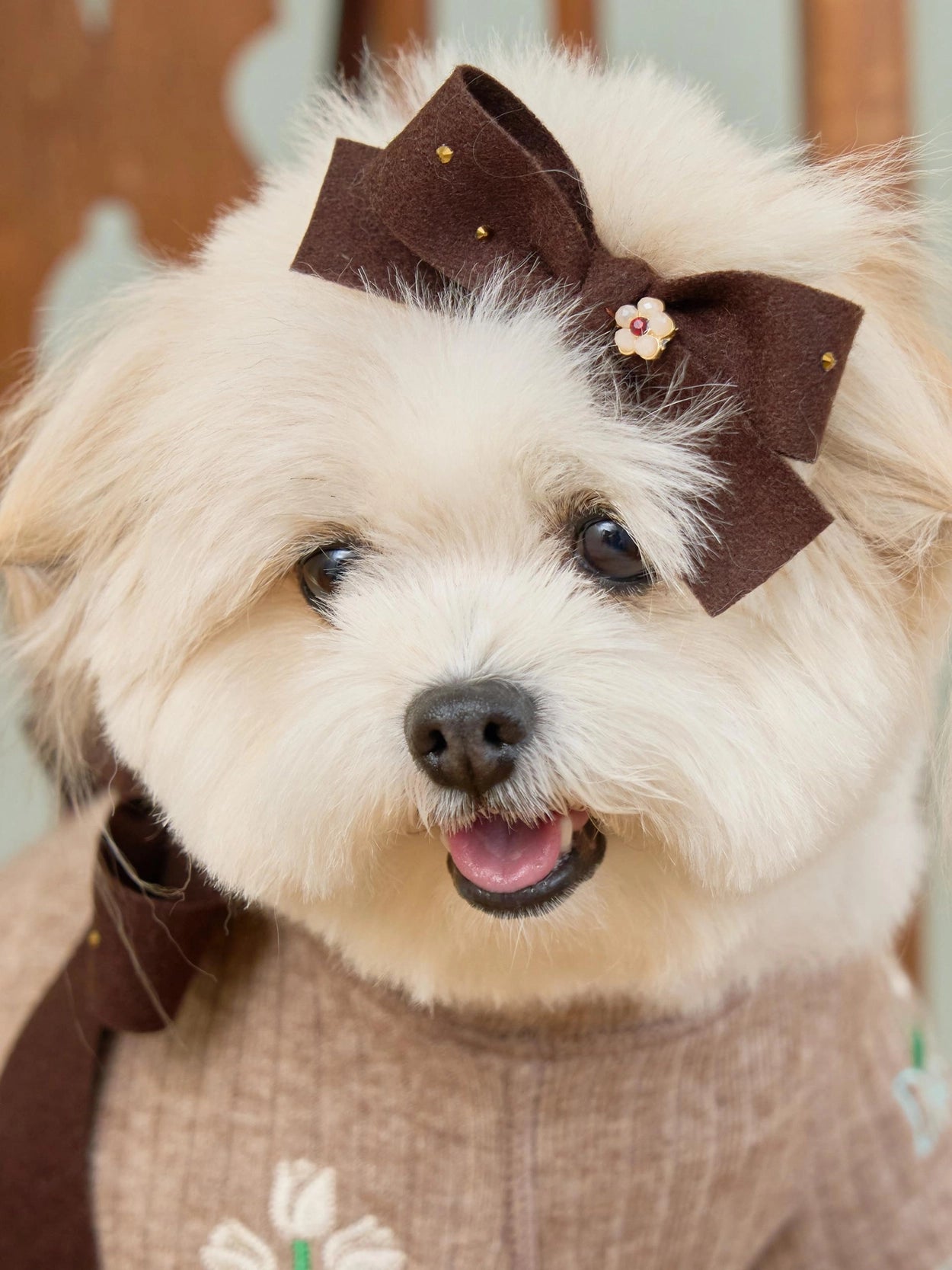 即納 Tiny Garden Turtleneck 全3色