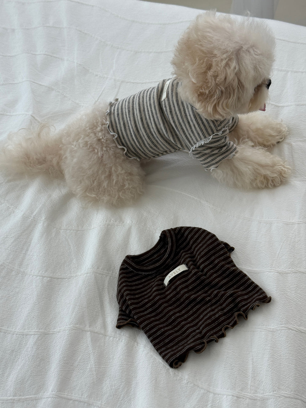 【PRE-ORDER】Wool Stripe Top 全2色