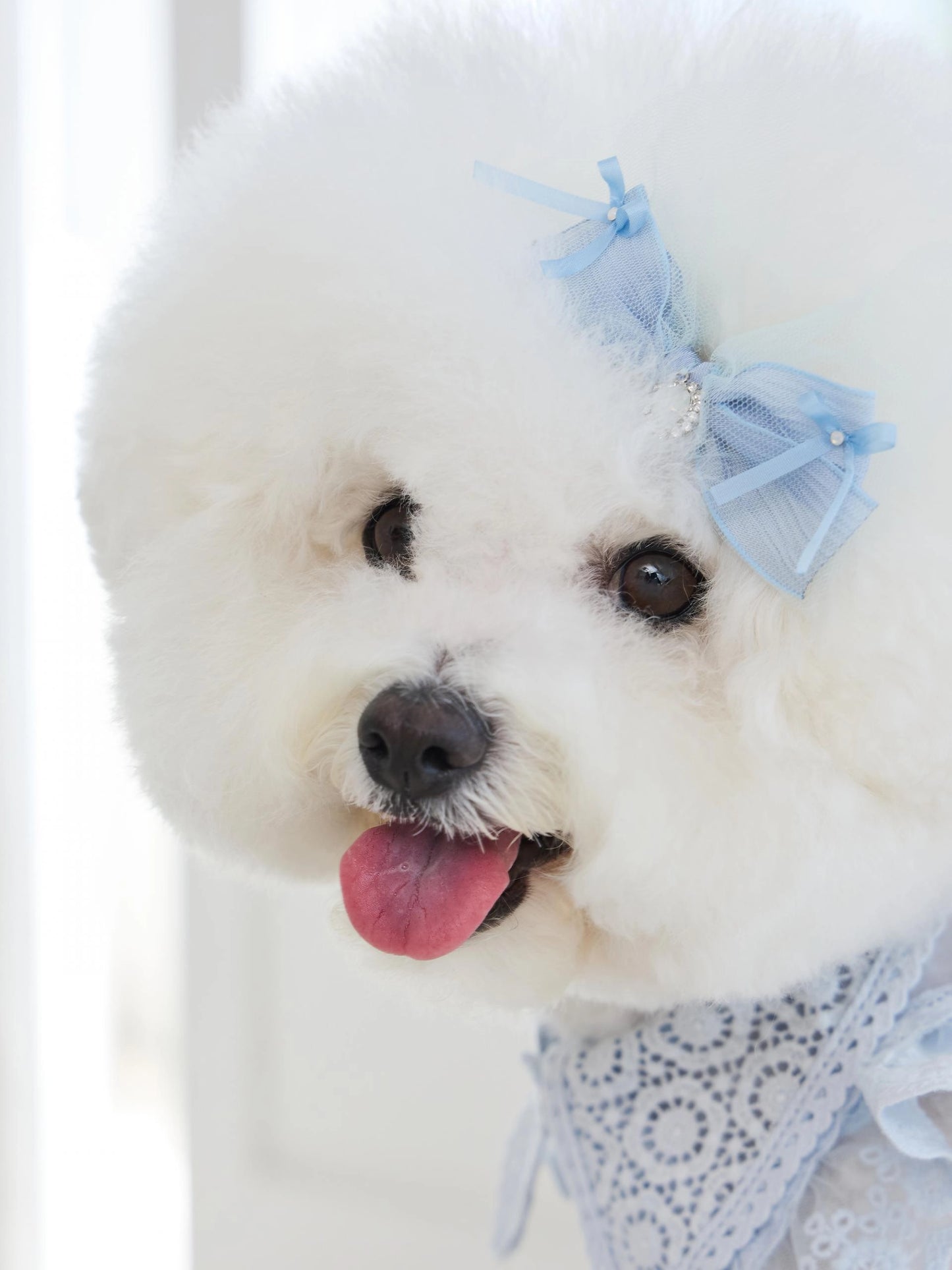 Sweetie Bebe Hairpin 全3色