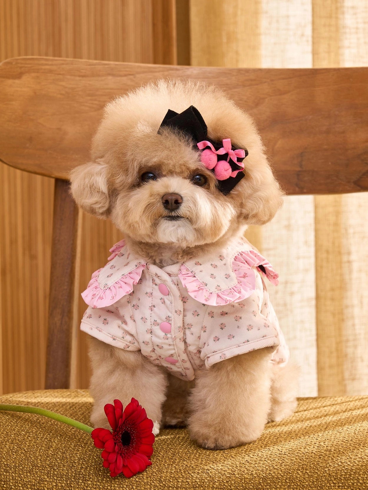 即納 Cherry Bongbong Hairpin 全3色