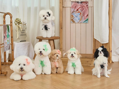 Petit Camisole Top 全3色