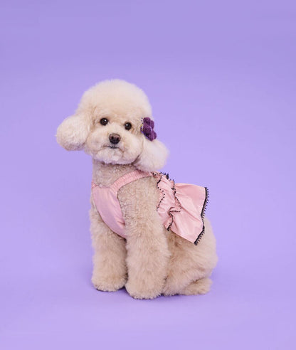 即納 Coco Ruru