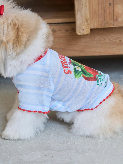 即納 Juicy Market T-Shirt 全3色