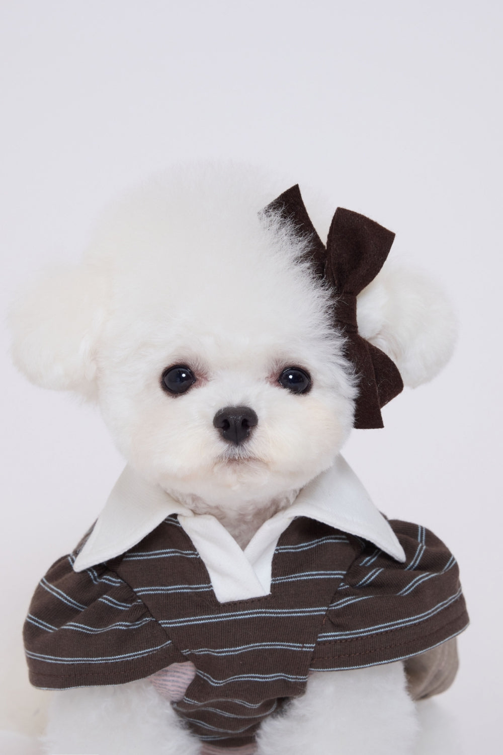 Brownie Puff Collar Top ブラウン