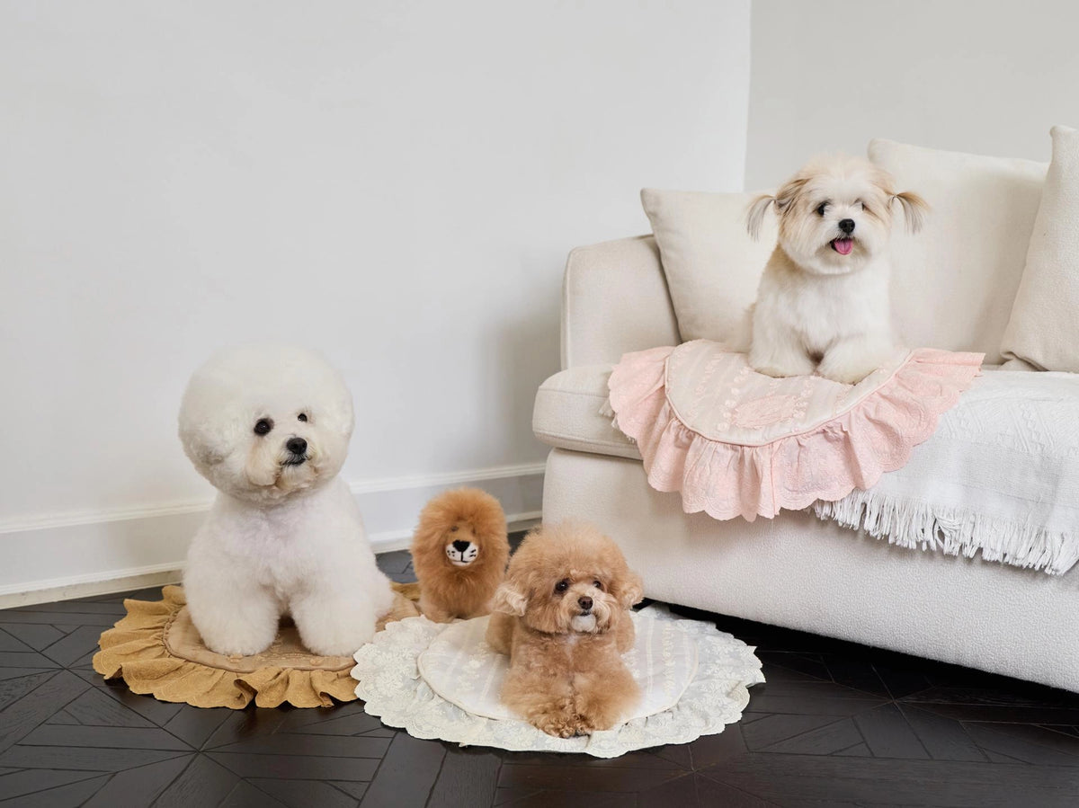 Chouchou Blanket 全3色