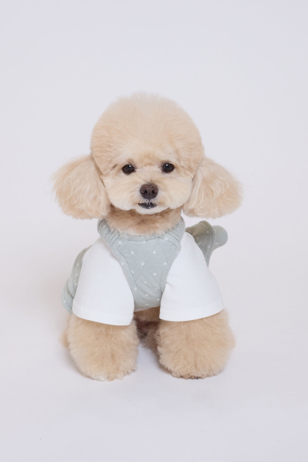 Quilted Polka Bustier ミント