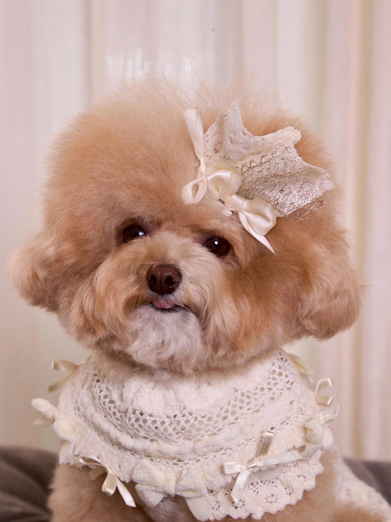 Lace Garden Hairpin 全3色