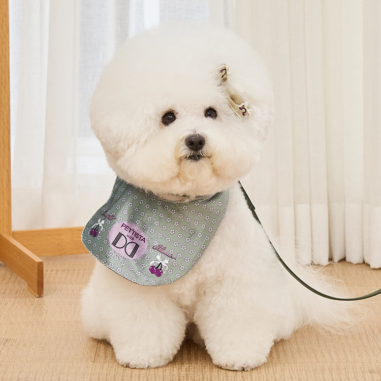 ［Design For Dog x PETTISTA］Velvet Cape