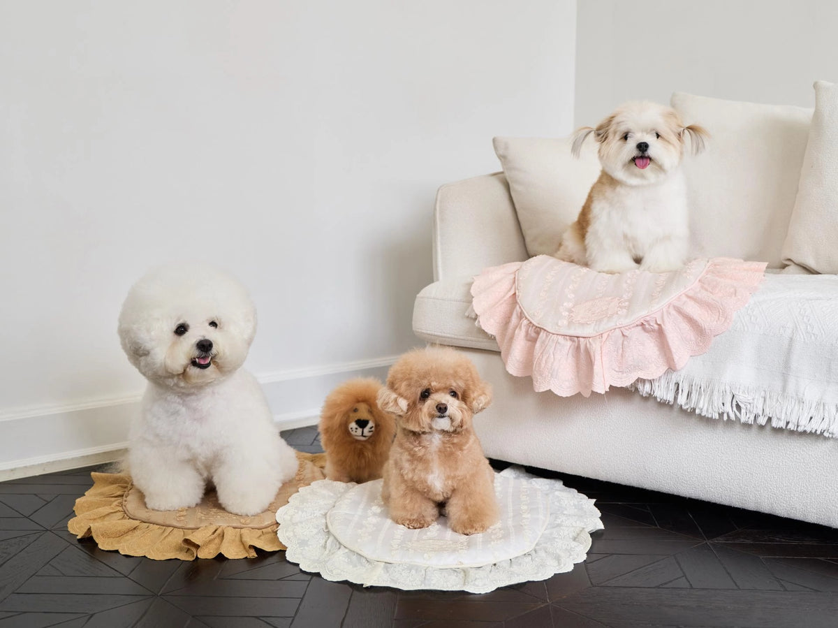 Chouchou Blanket 全3色