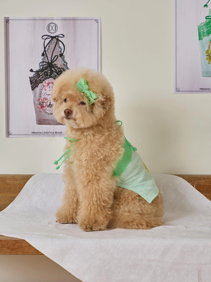 Petit Camisole Top 全3色