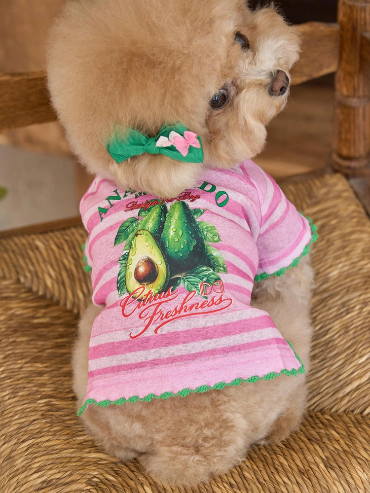 即納 Juicy Market T-Shirt 全3色