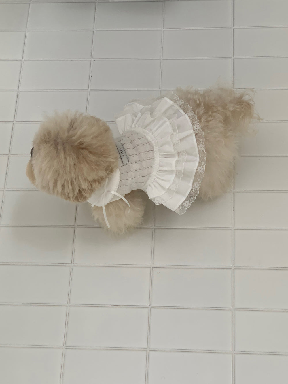 Soft Collar One-piece