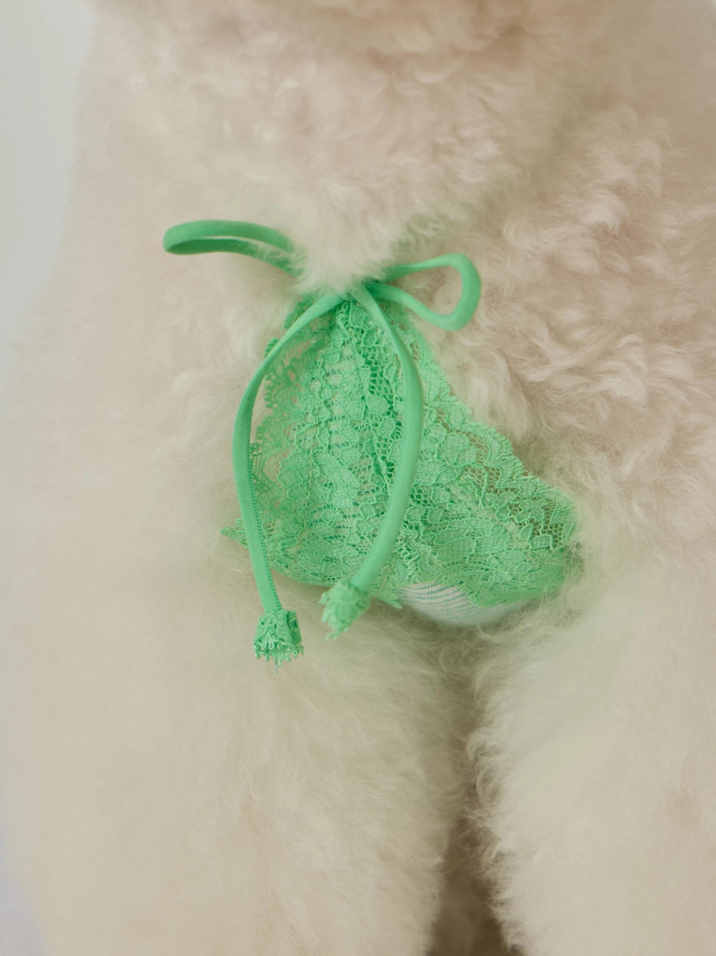 Petit Camisole Top 全3色