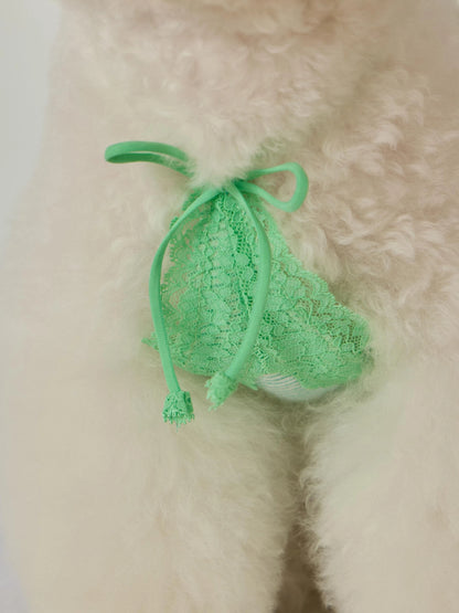 Petit Camisole Top 全3色