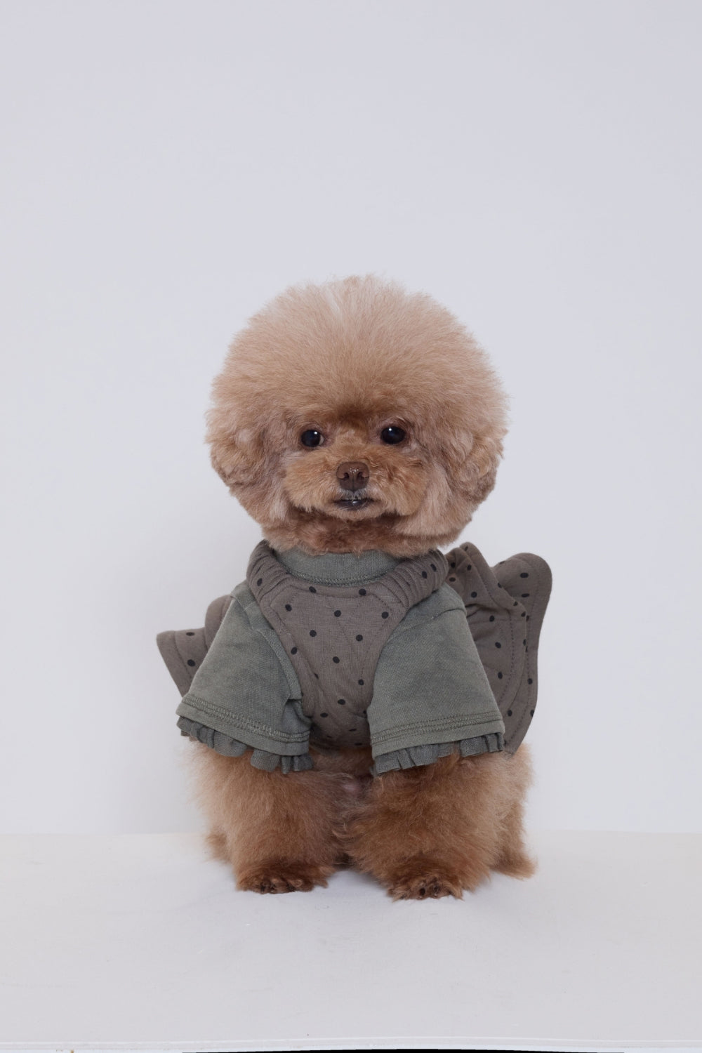 Palette Paper Doll Top - Short グレー