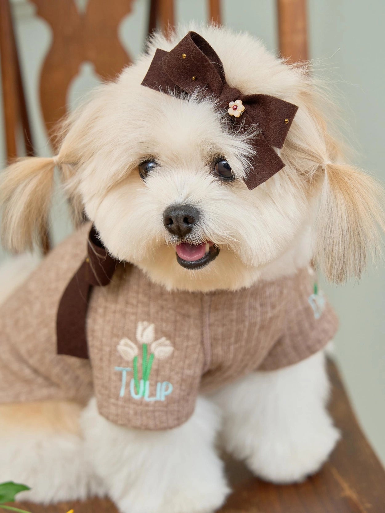 即納 Tiny Garden Turtleneck 全3色