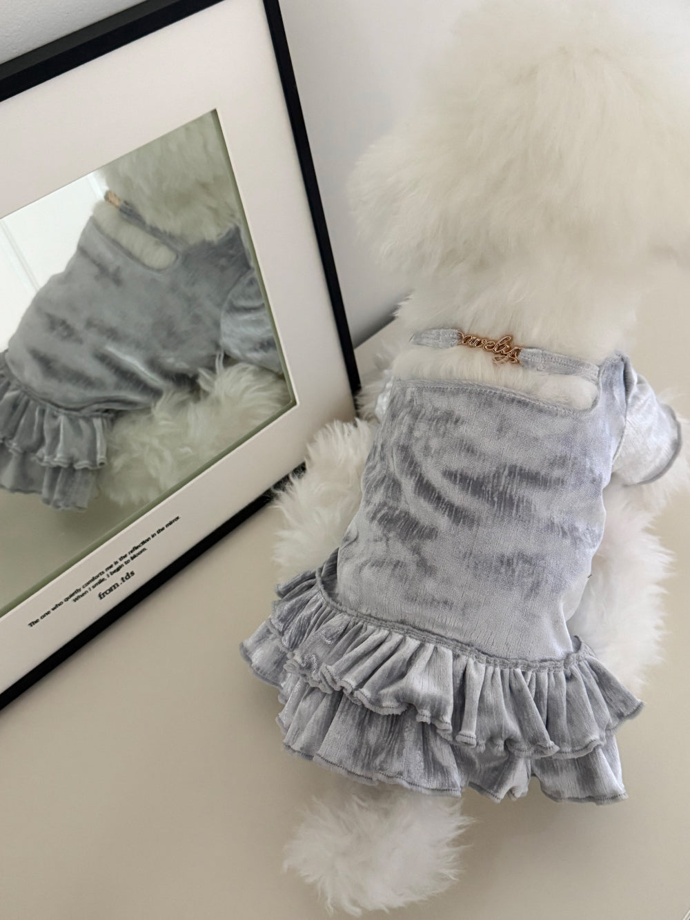 Velvet Ruffle Top 全3色