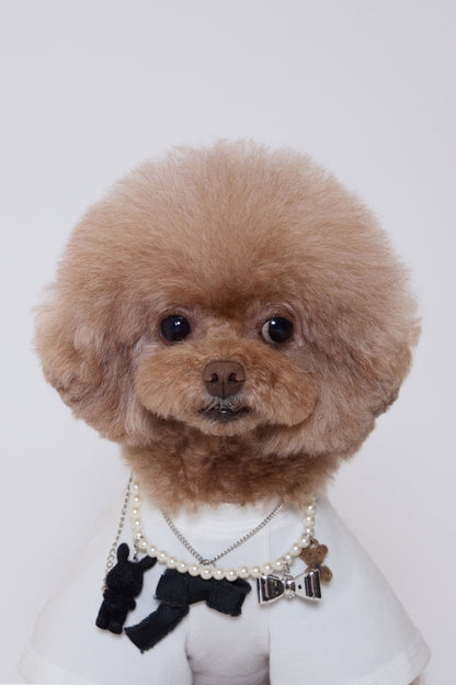 Pure Dog Lace Top ホワイト