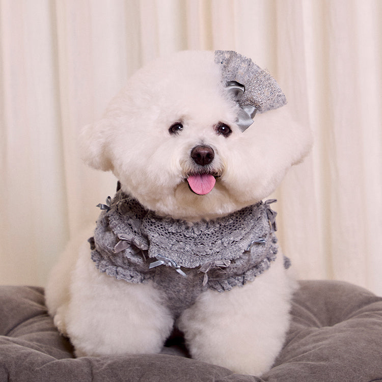 Lace Garden Dress 全3色