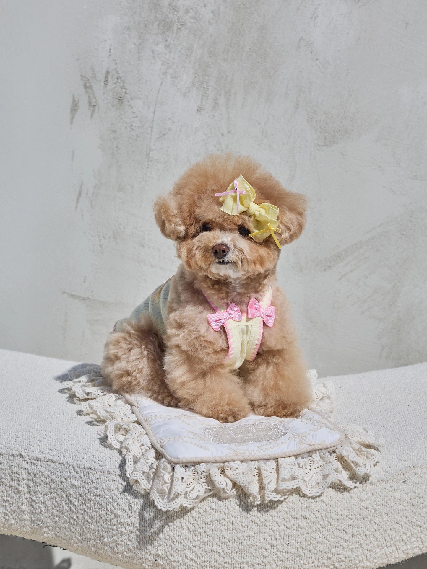 Lace de Blanc Mat 全3色