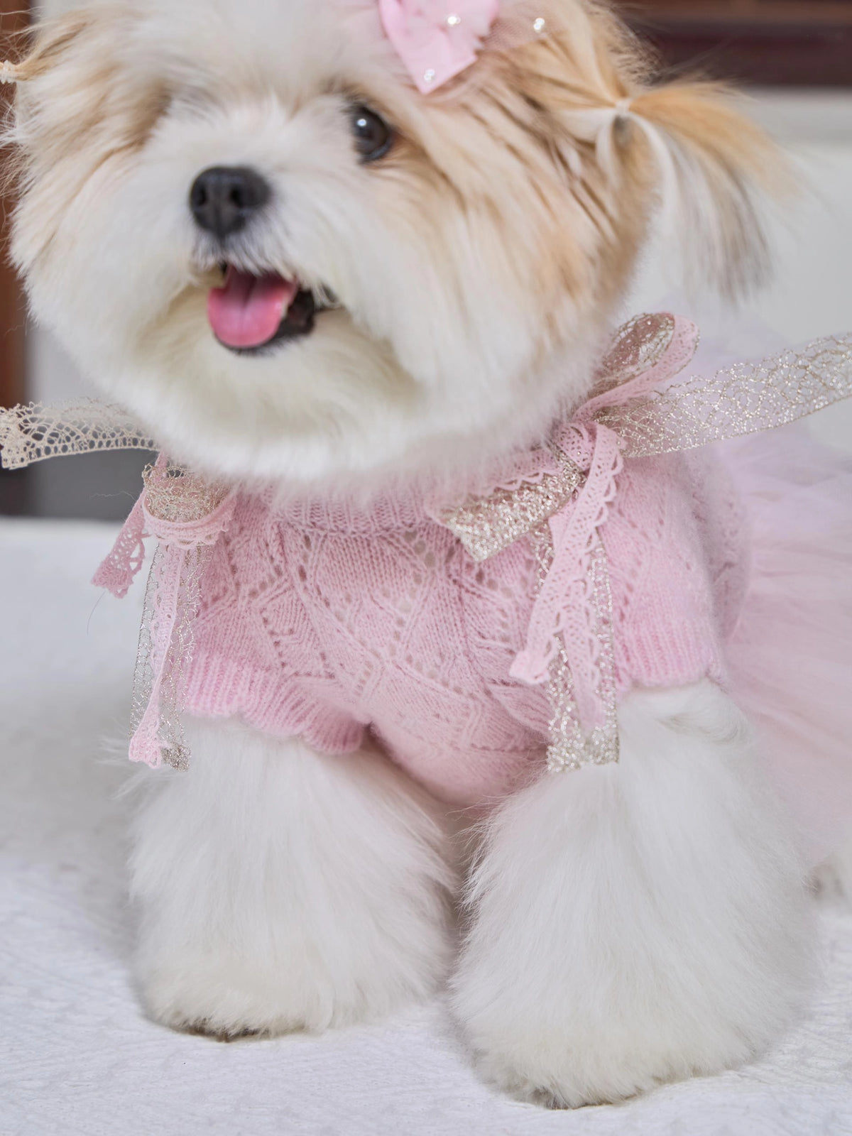 Patissier Tutu Dress 全3色