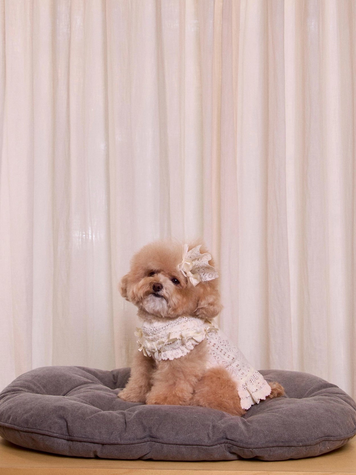 Lace Garden Hairpin 全3色