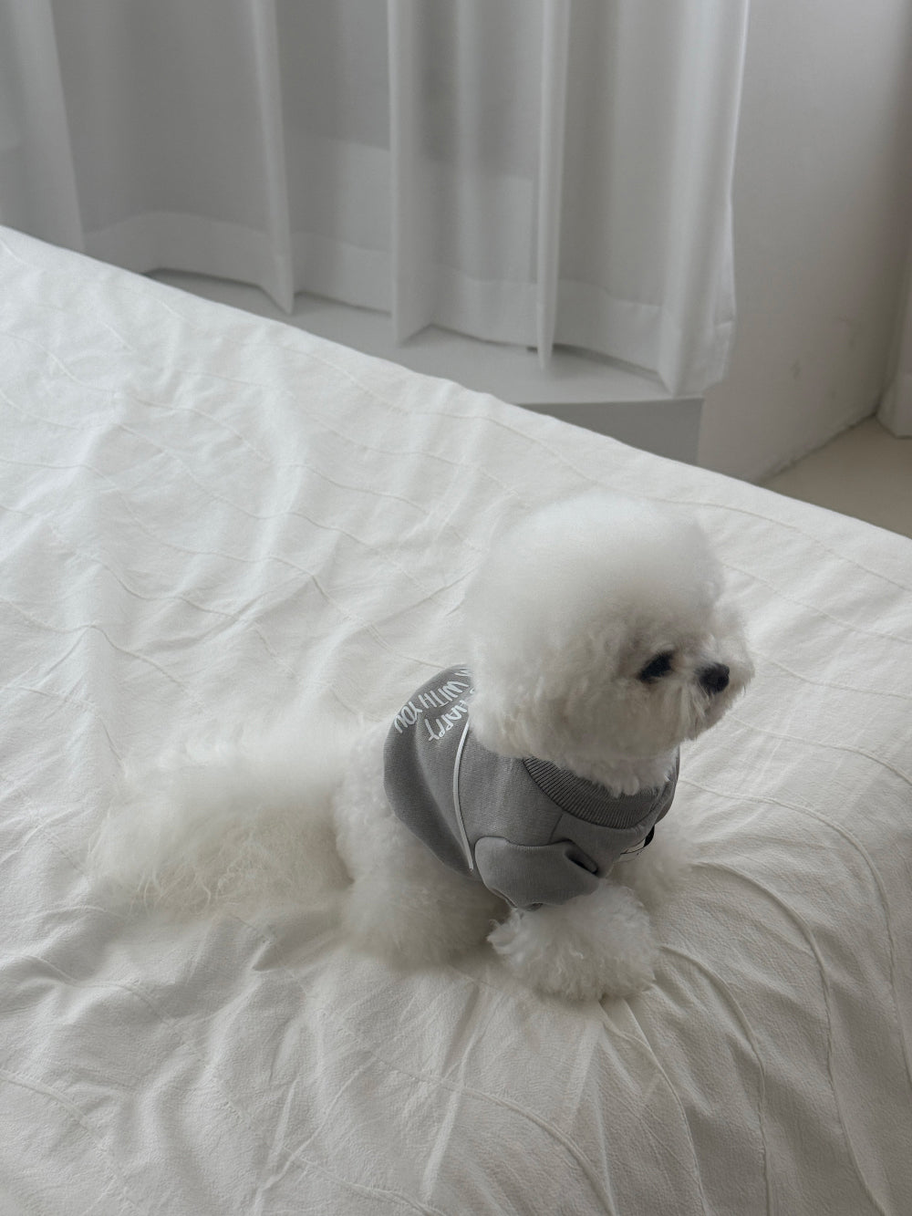 【PRE-ORDER】Cropped Sweatshirt 全2色
