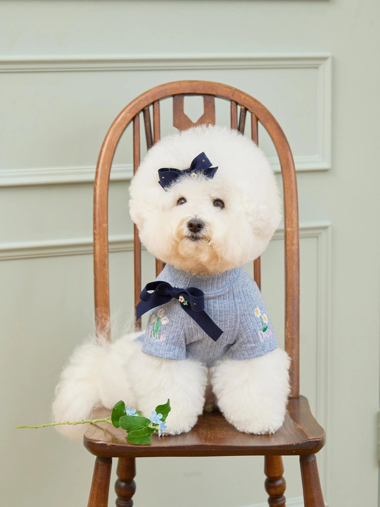 即納 Tiny Garden Turtleneck 全3色