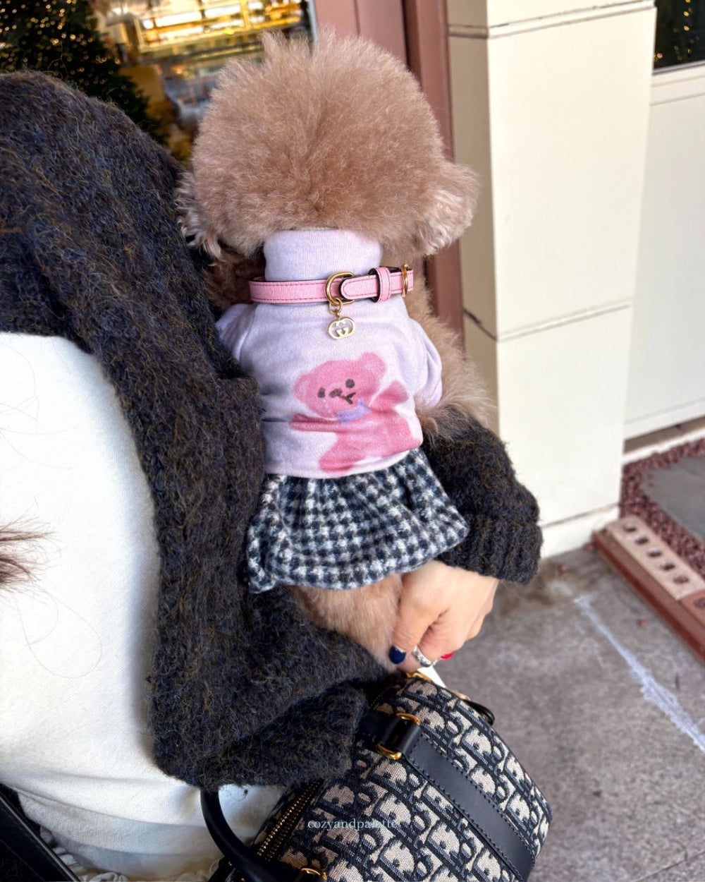 即納 Bear Friend Highneck Top 全4色