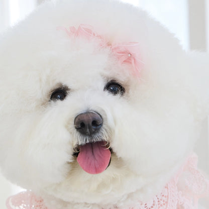 Sweetie Bebe Hairpin 全3色