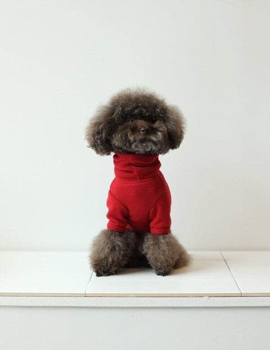 即納 Soft Long Turtleneck レッド