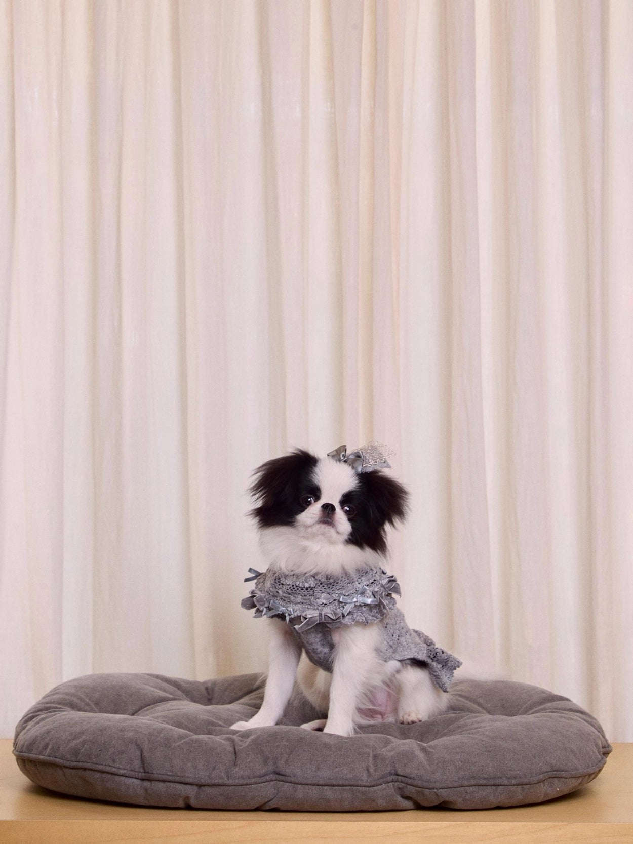 Lace Garden Dress 全3色