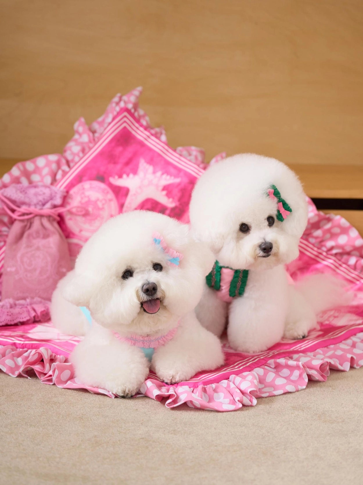 即納 DD Ice Pouch 全4色