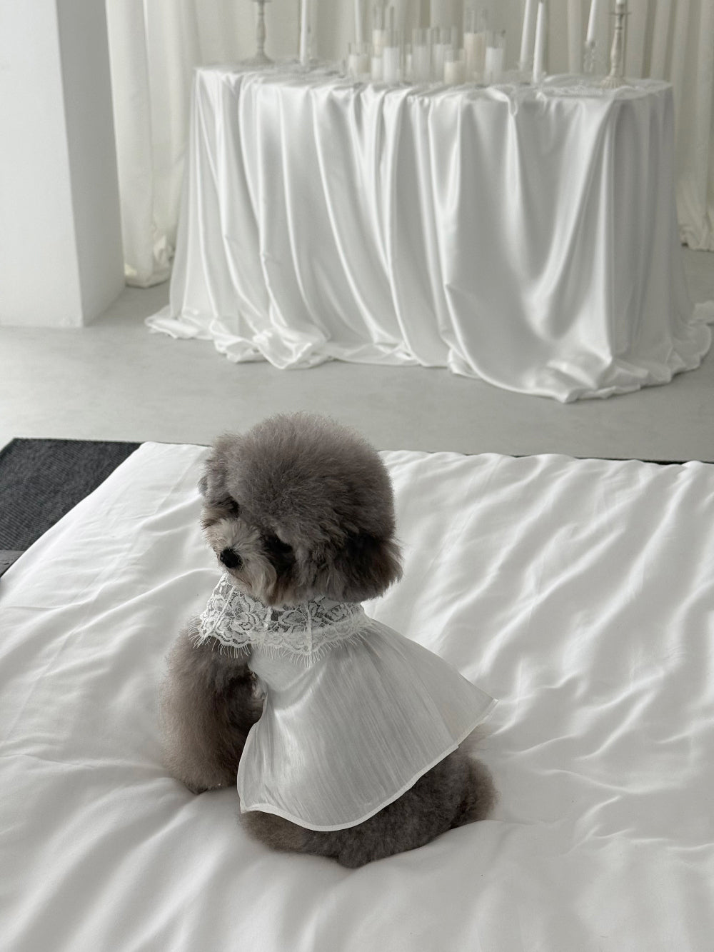 【PRE-ORDER】White Satin Glow Slip