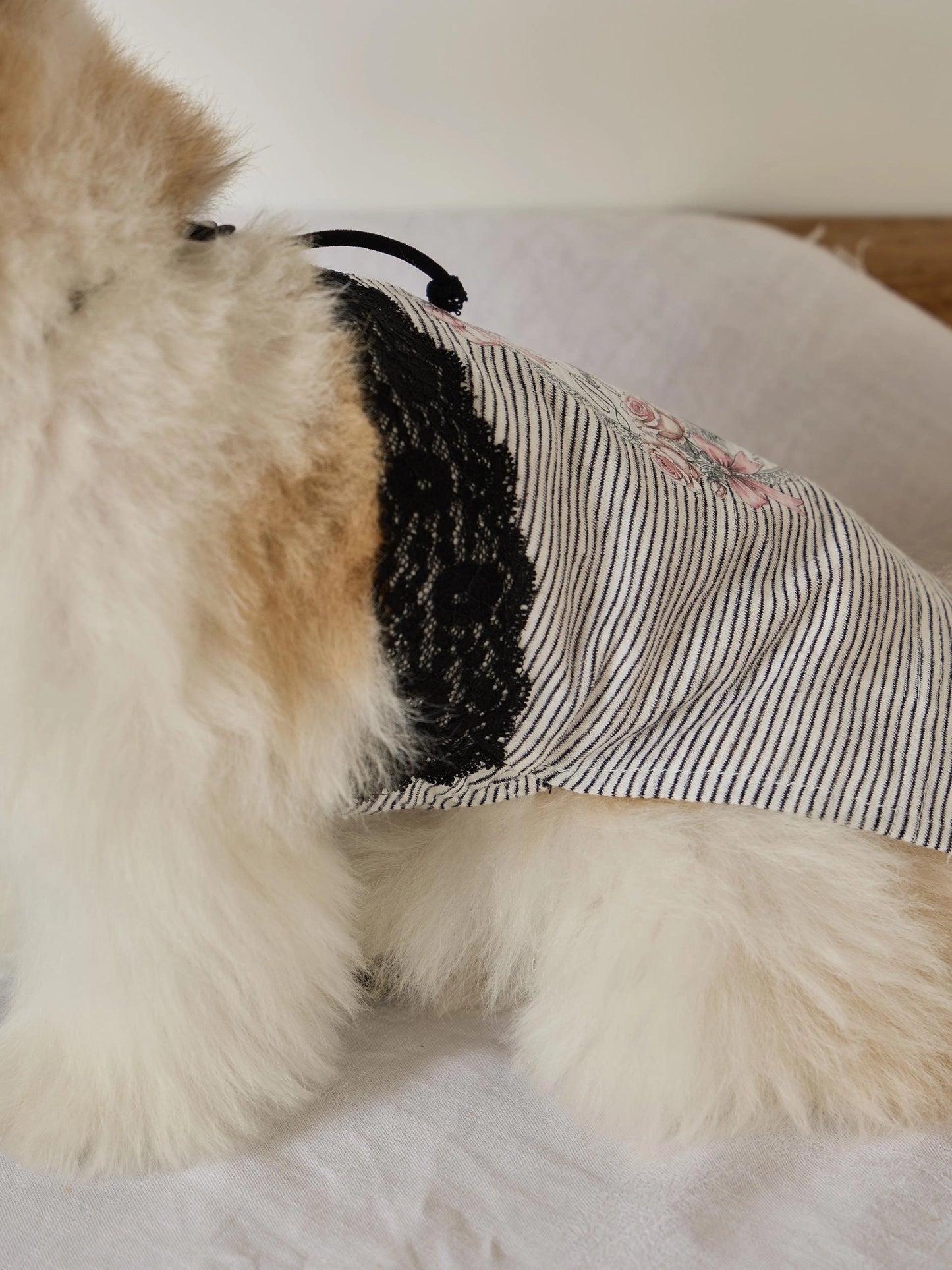 Petit Camisole Top 全3色