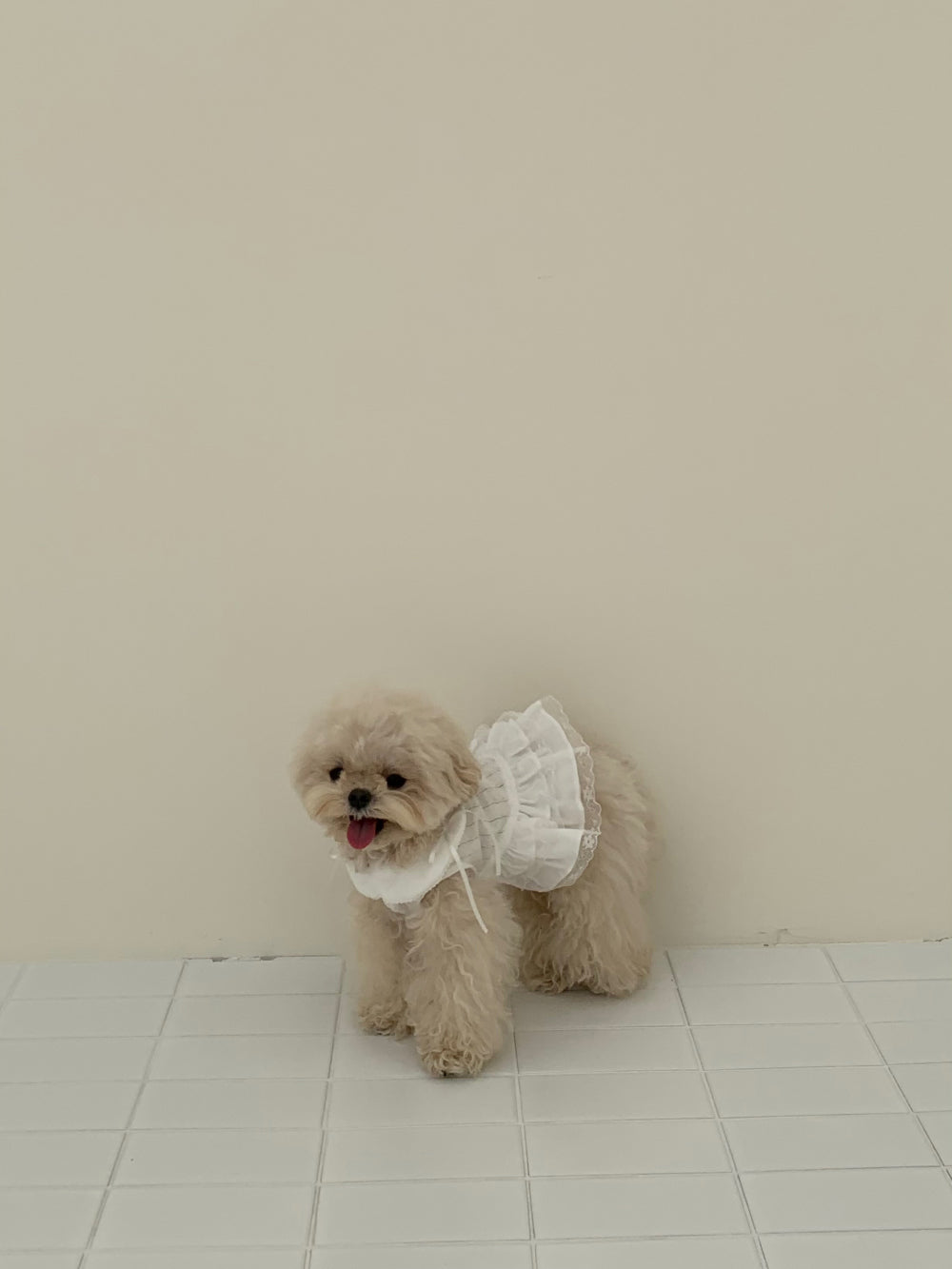 Soft Collar One-piece