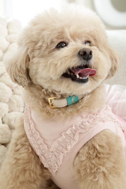 Loving Collar クリームベージュ