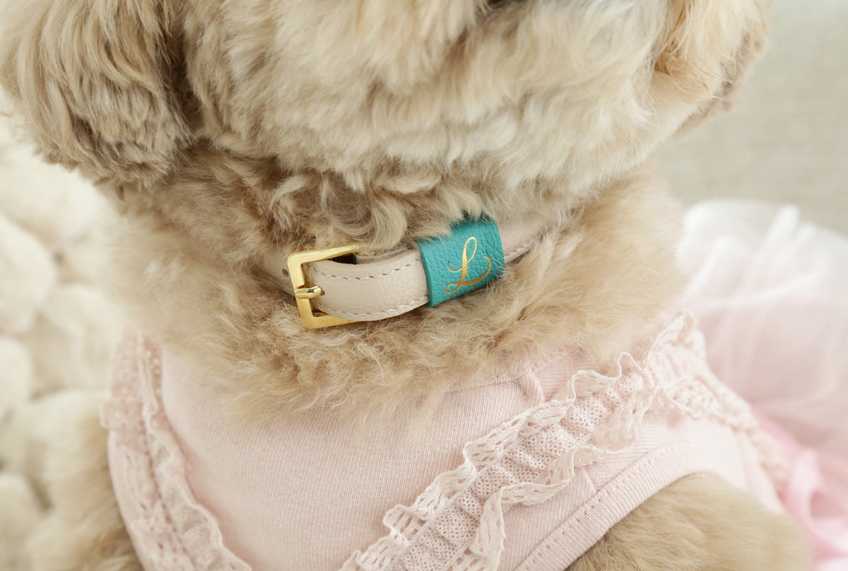 Loving Collar クリームベージュ