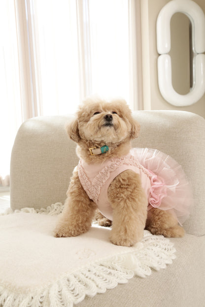 Loving Collar クリームベージュ