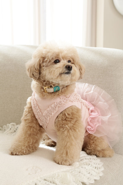 Loving Collar クリームベージュ