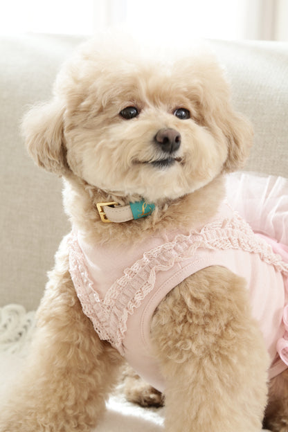 Loving Collar クリームベージュ