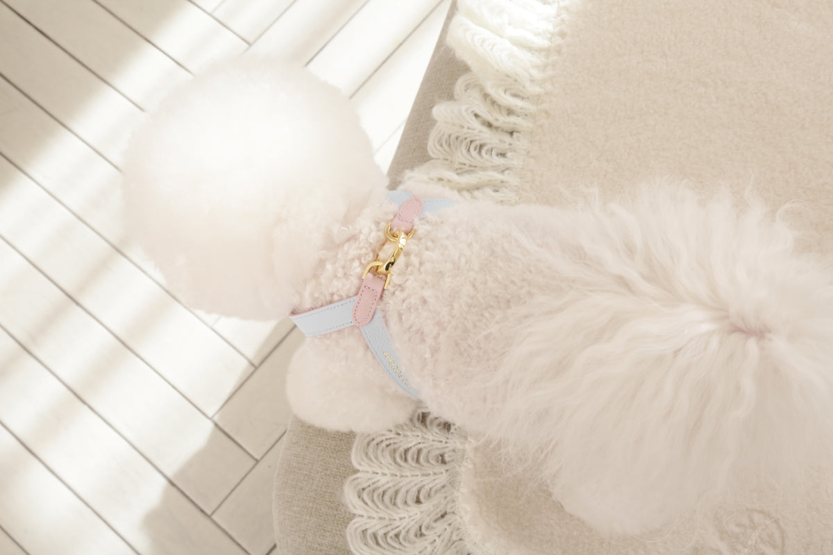 VV Harness 2tone パステルピンク×ブルー