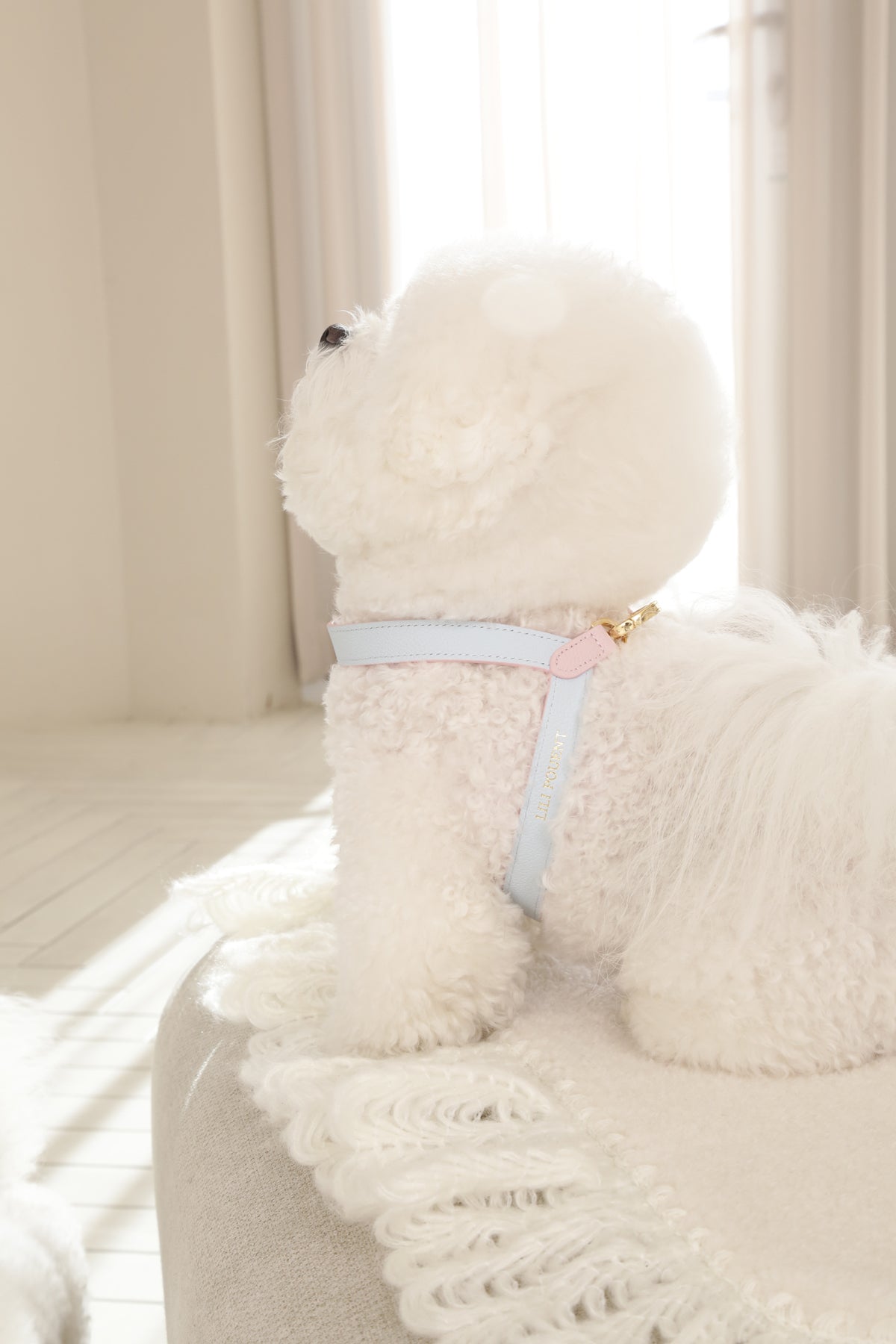 VV Harness 2tone パステルピンク×ブルー