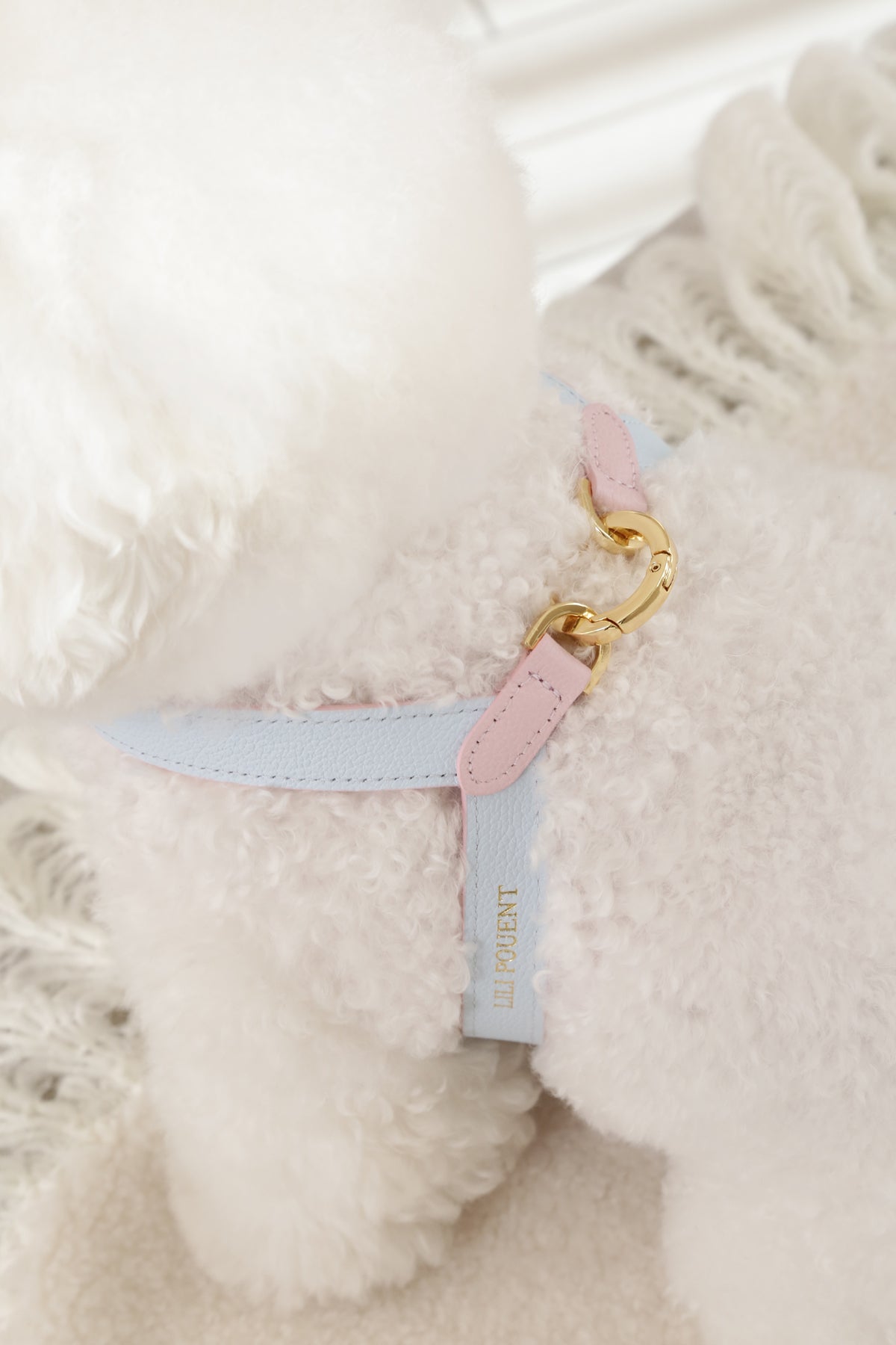 VV Harness 2tone パステルピンク×ブルー