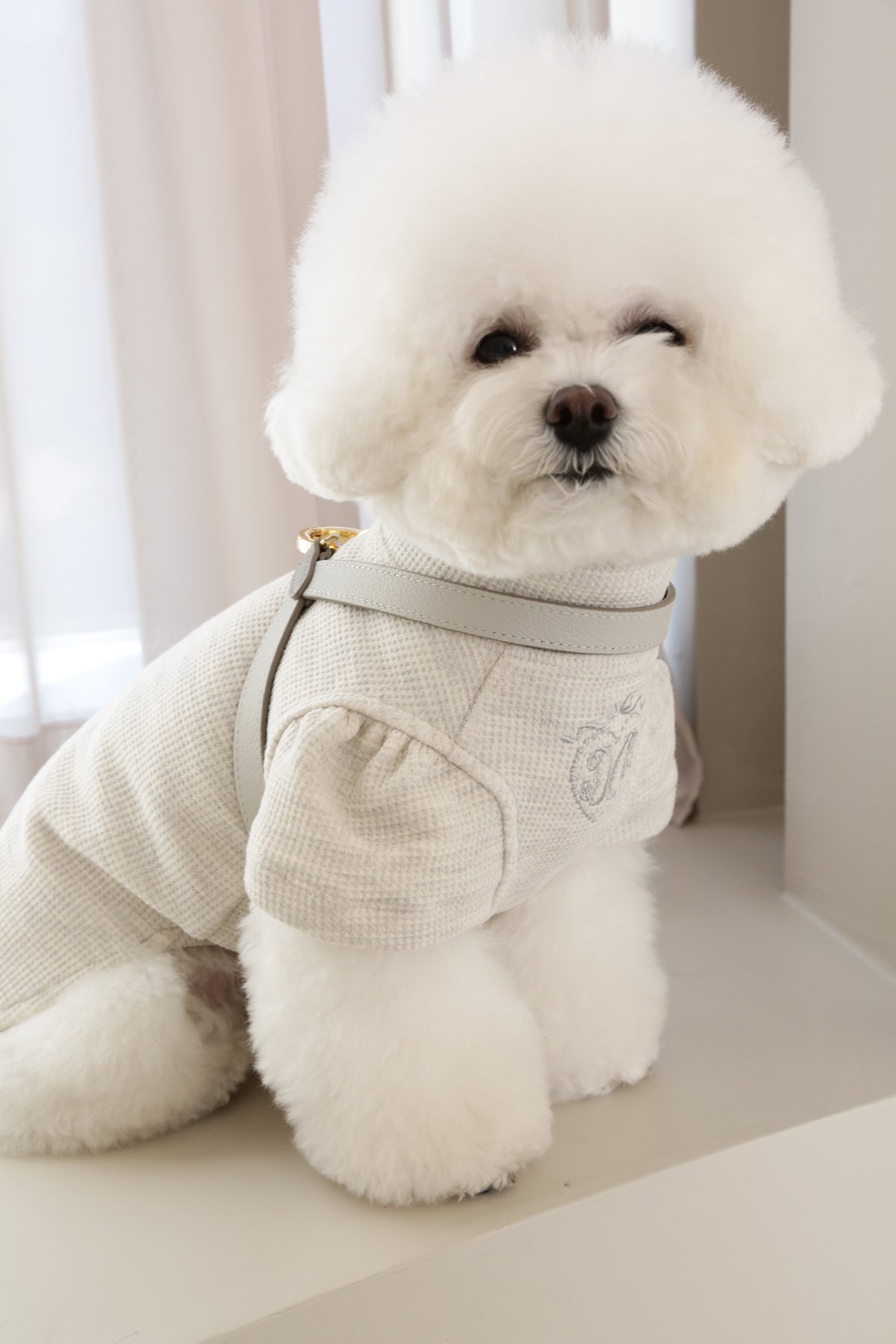 VV Harness 2tone エトープ×グレー