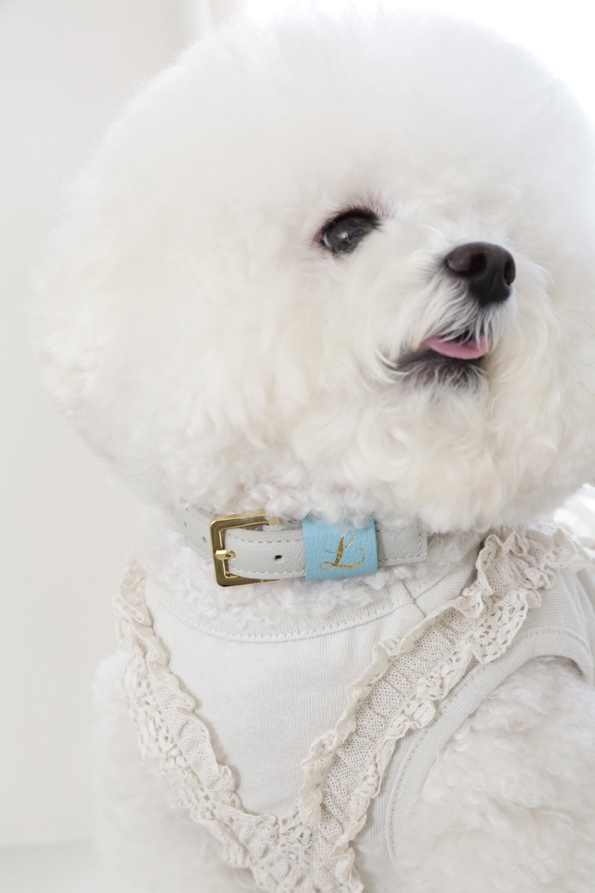 Loving Collar ライトグレー