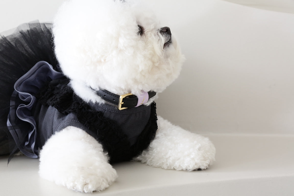 Loving Collar ブラック