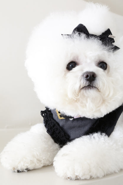 Loving Collar ブラック